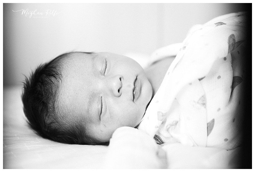 Asheville Newborn Lifestyle Photographer