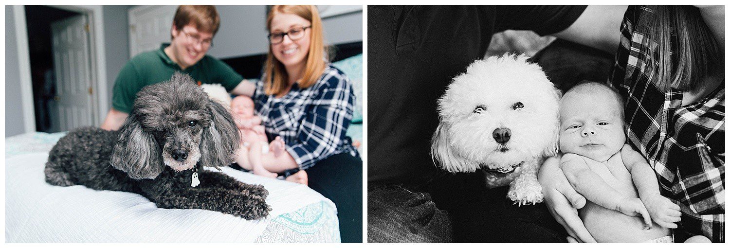 Lifestyle Newborn Session