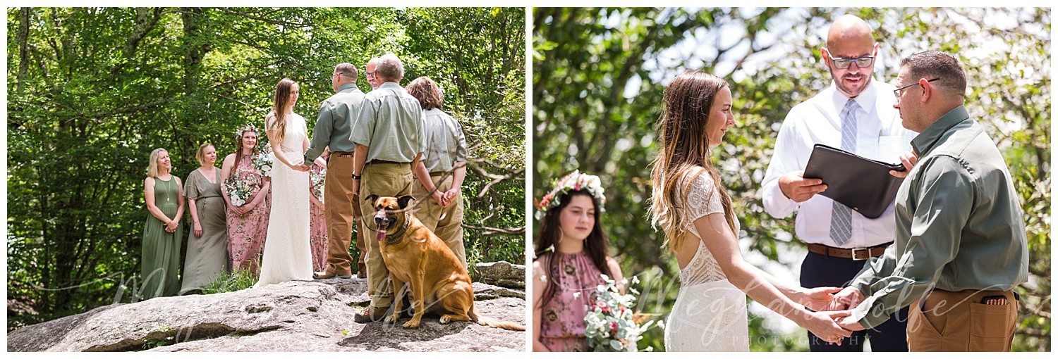 Family Elopement at Grandfather Mountain