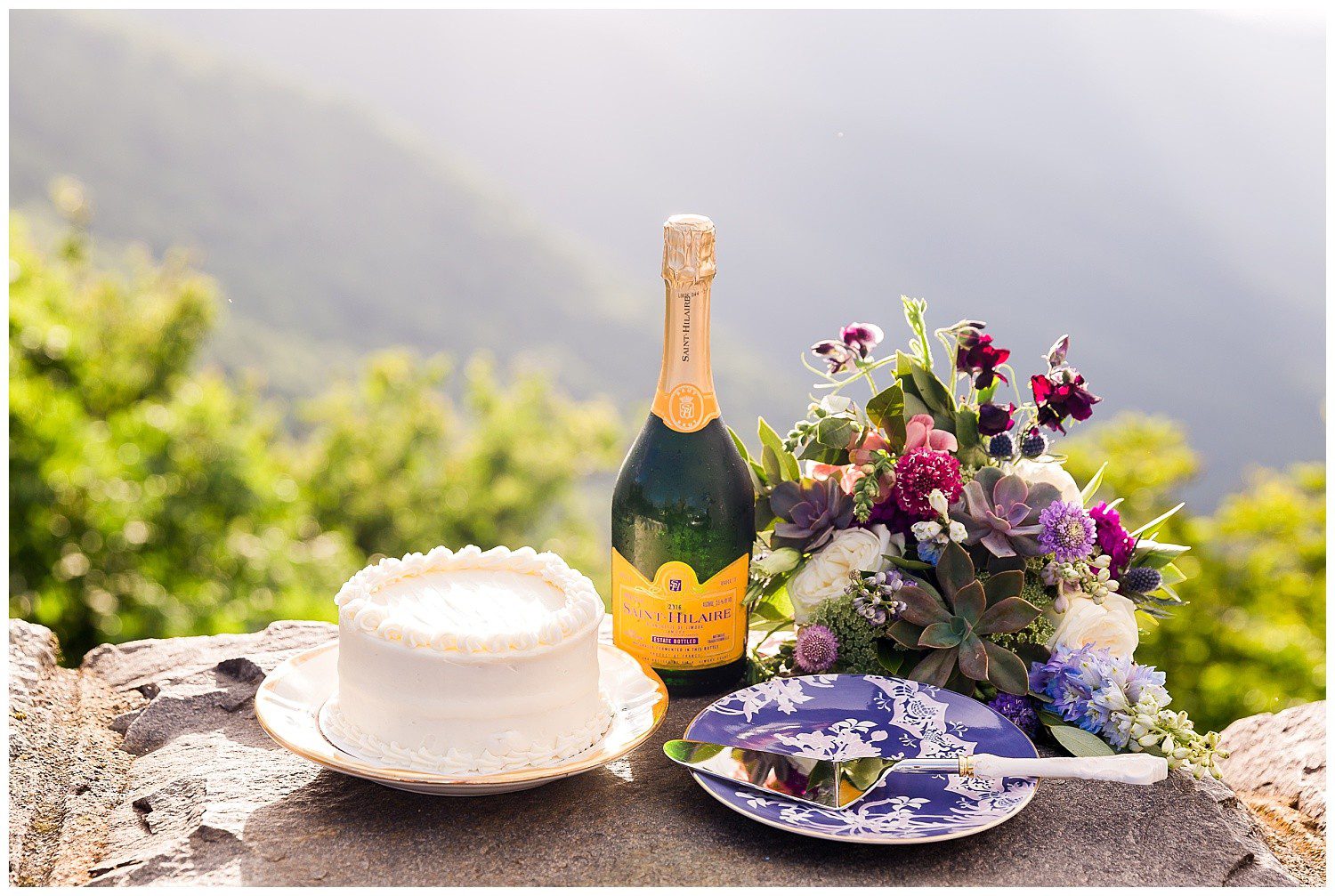 Blue Ridge Parkway Elopement