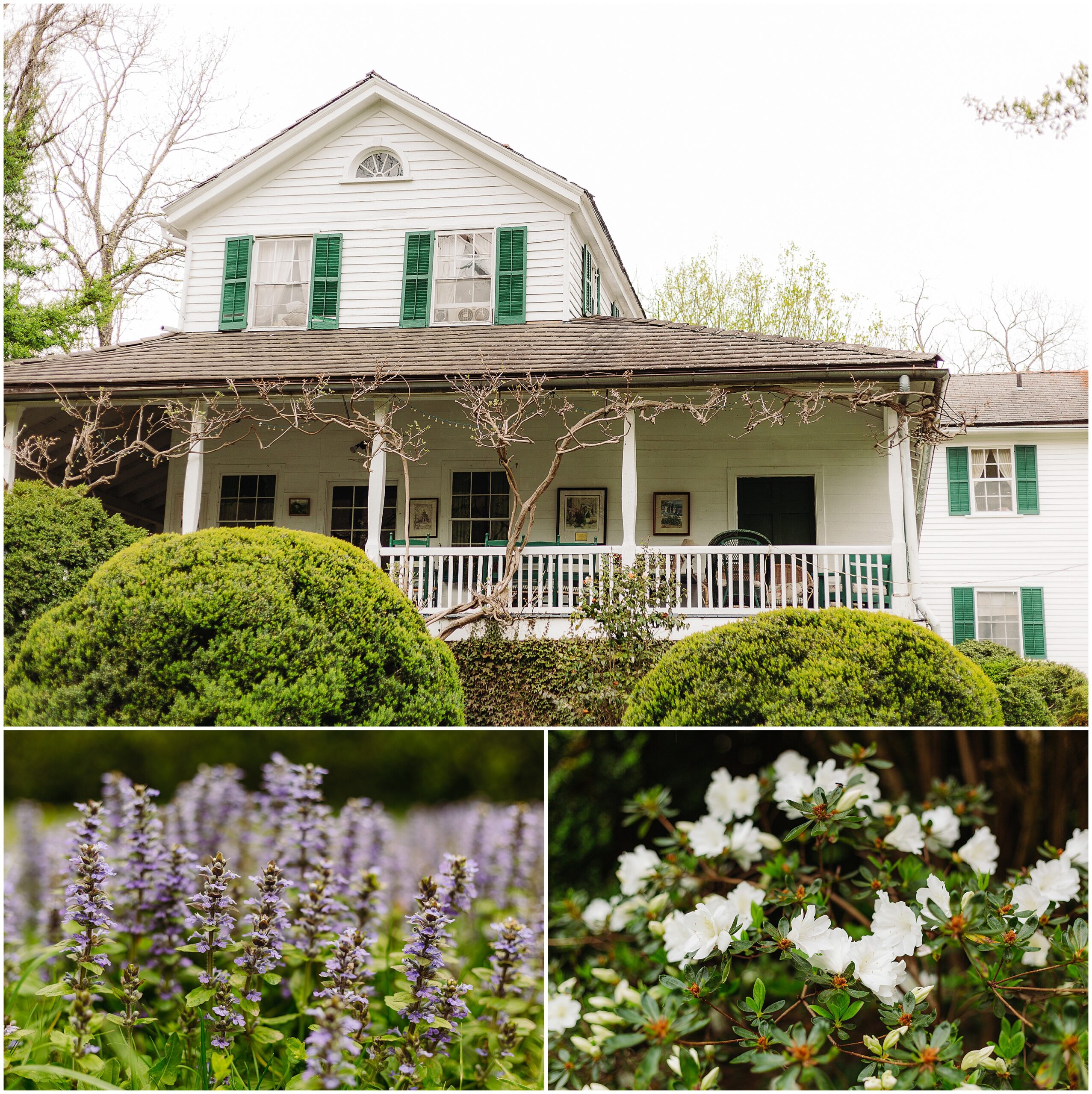 Asheville, NC Sherrill's Inn Elopement Photographer, Roan Mountain