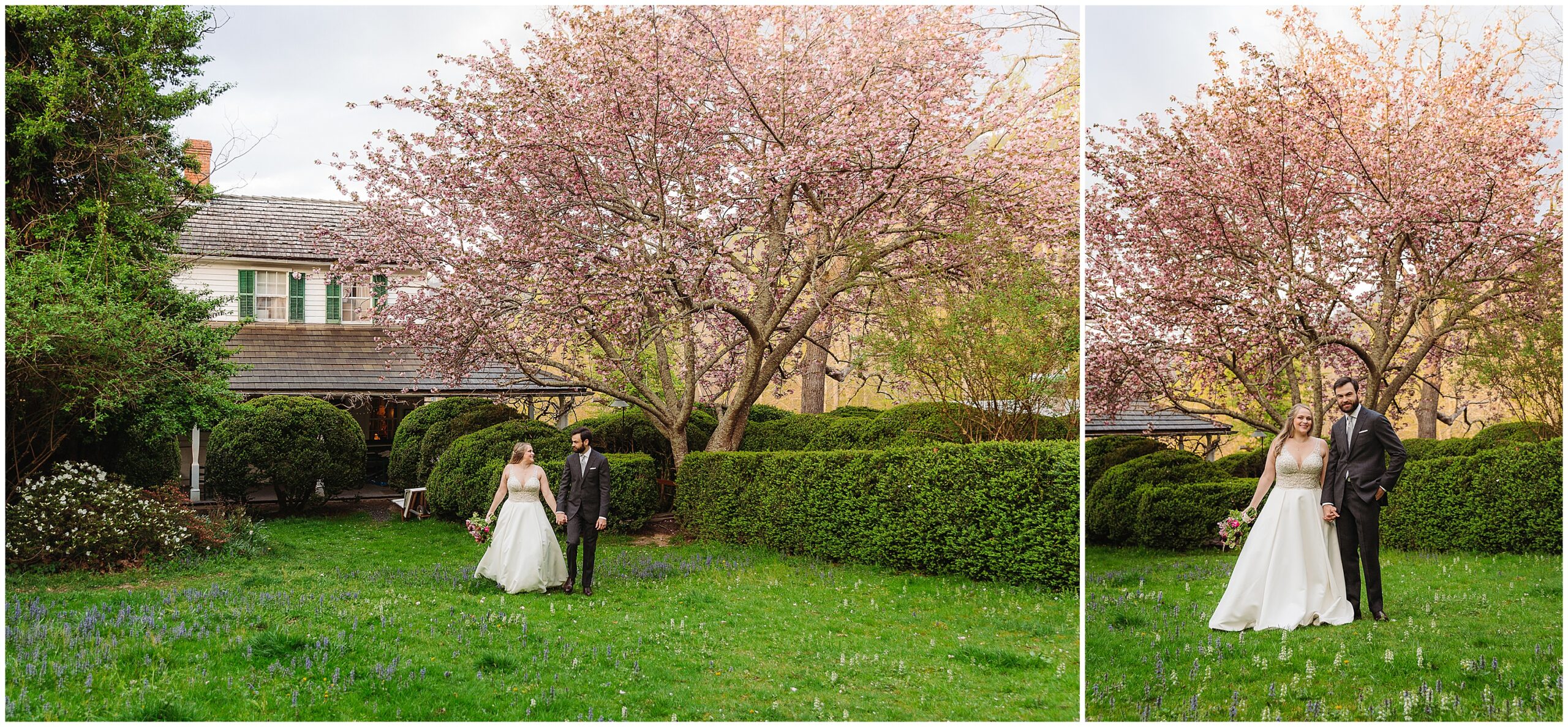 Asheville, NC Sherrill's Inn Elopement Photographer, Roan Mountain