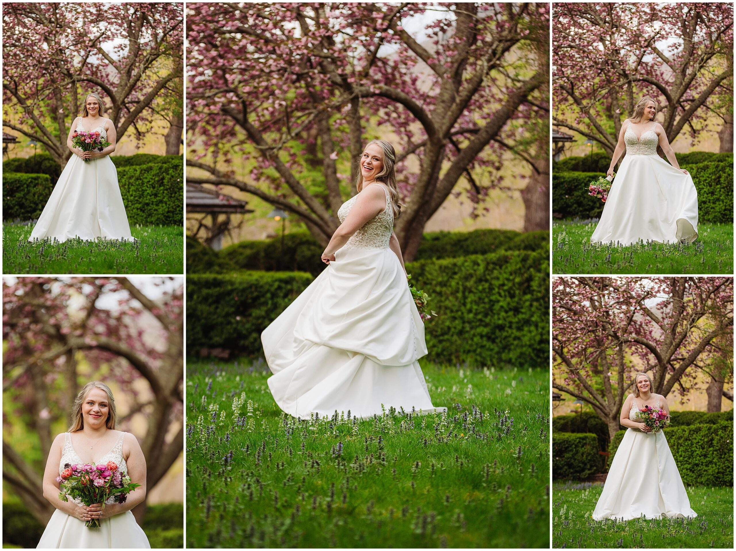 Asheville, NC Sherrill's Inn Elopement Photographer, Roan Mountain