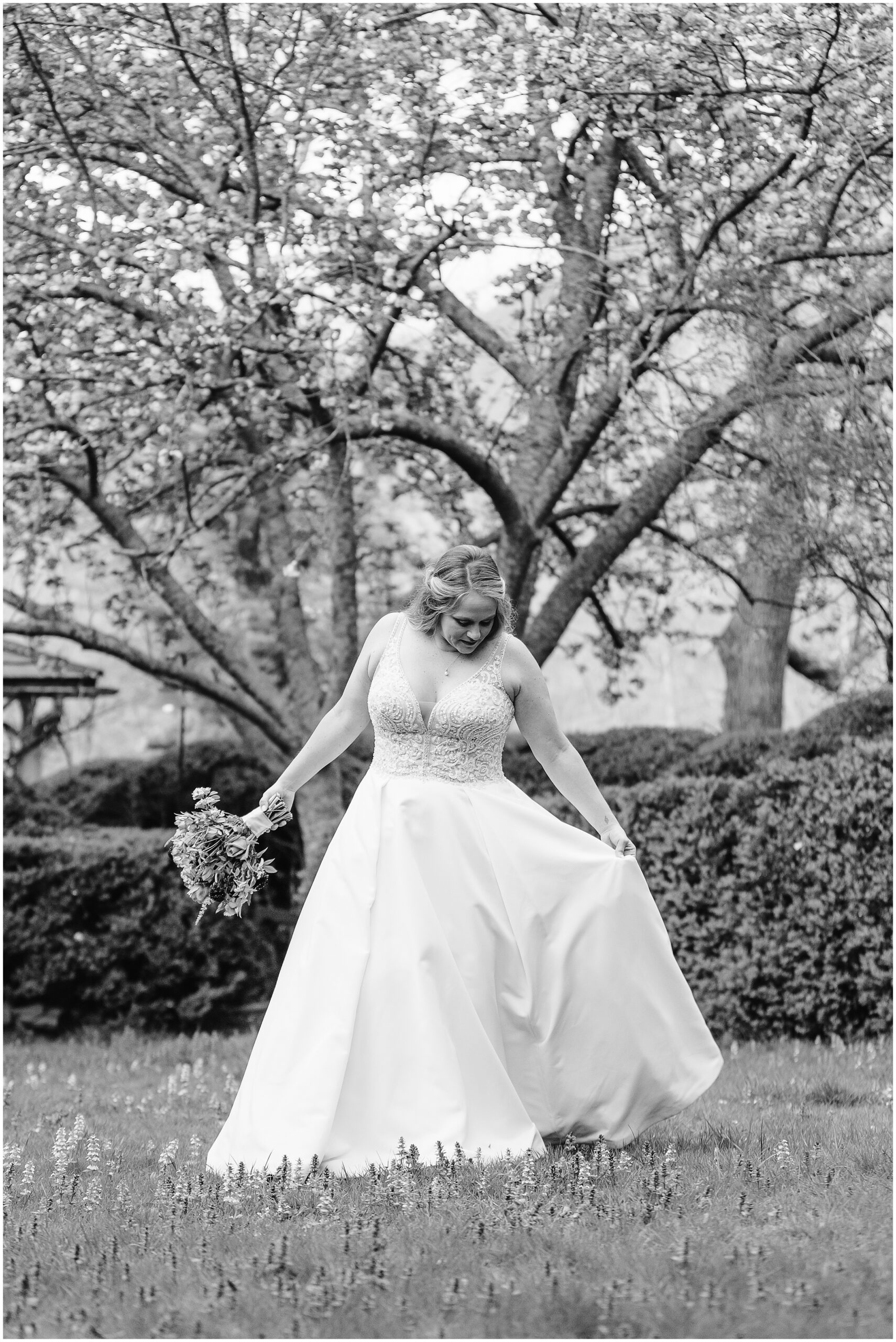 Asheville, NC Sherrill's Inn Elopement Photographer, Roan Mountain