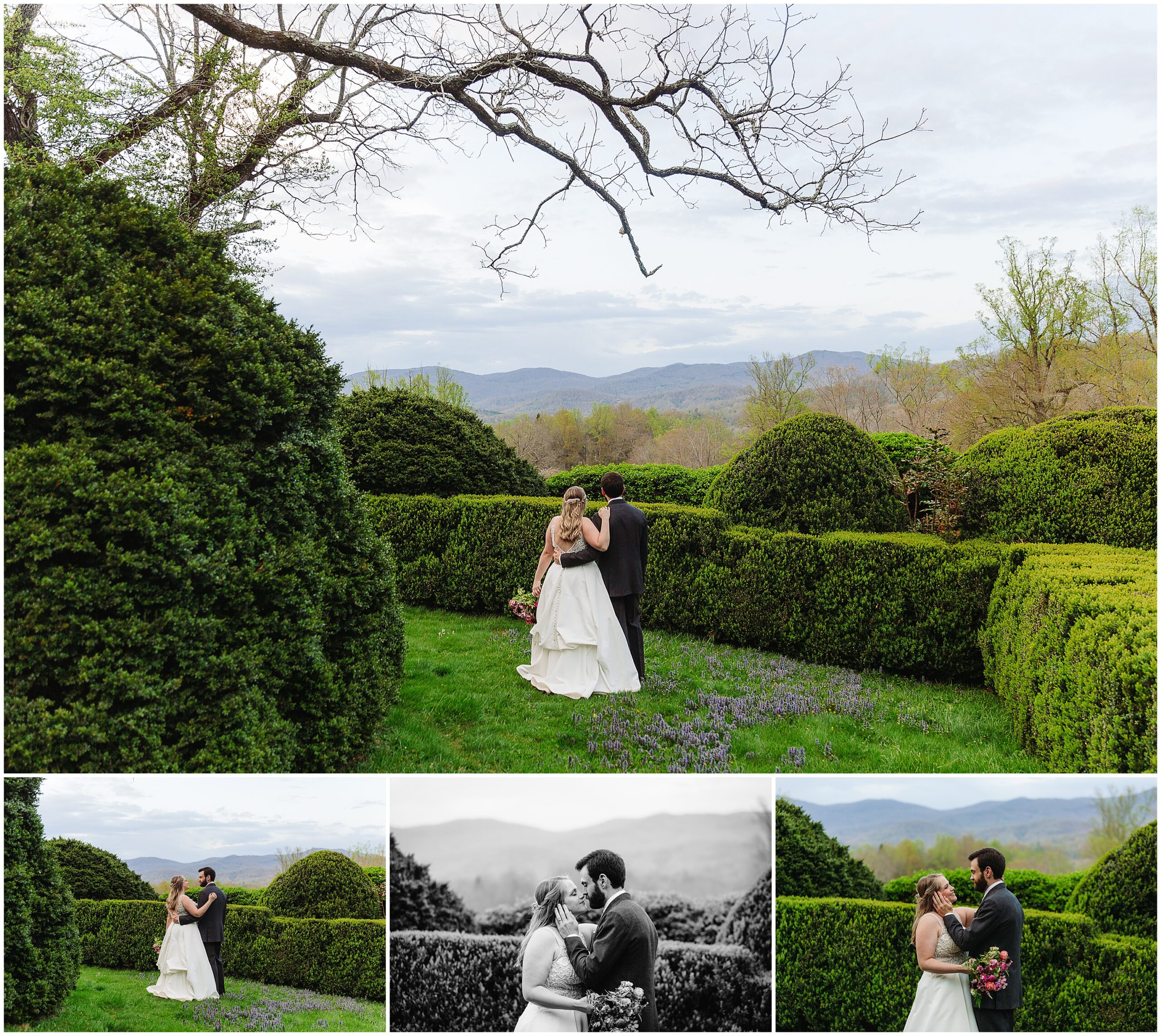 Asheville, NC Sherrill's Inn Elopement Photographer, Roan Mountain