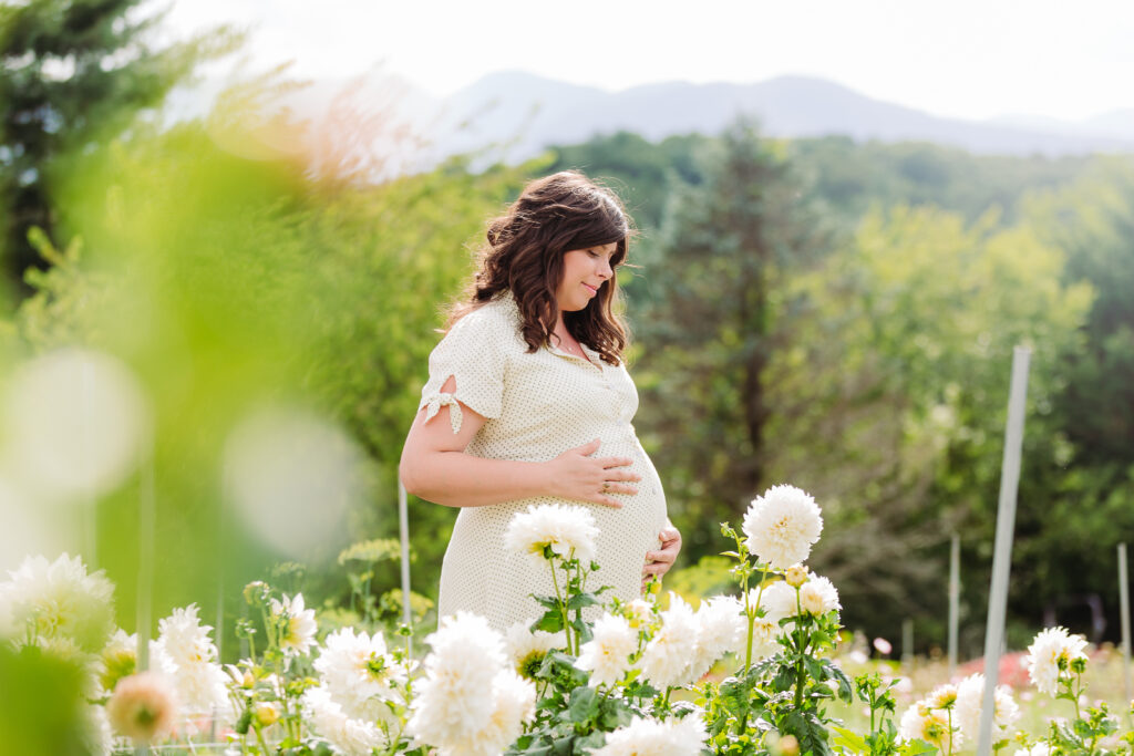 Pregnancy photos in a field of flowers, asheville maternity photo session